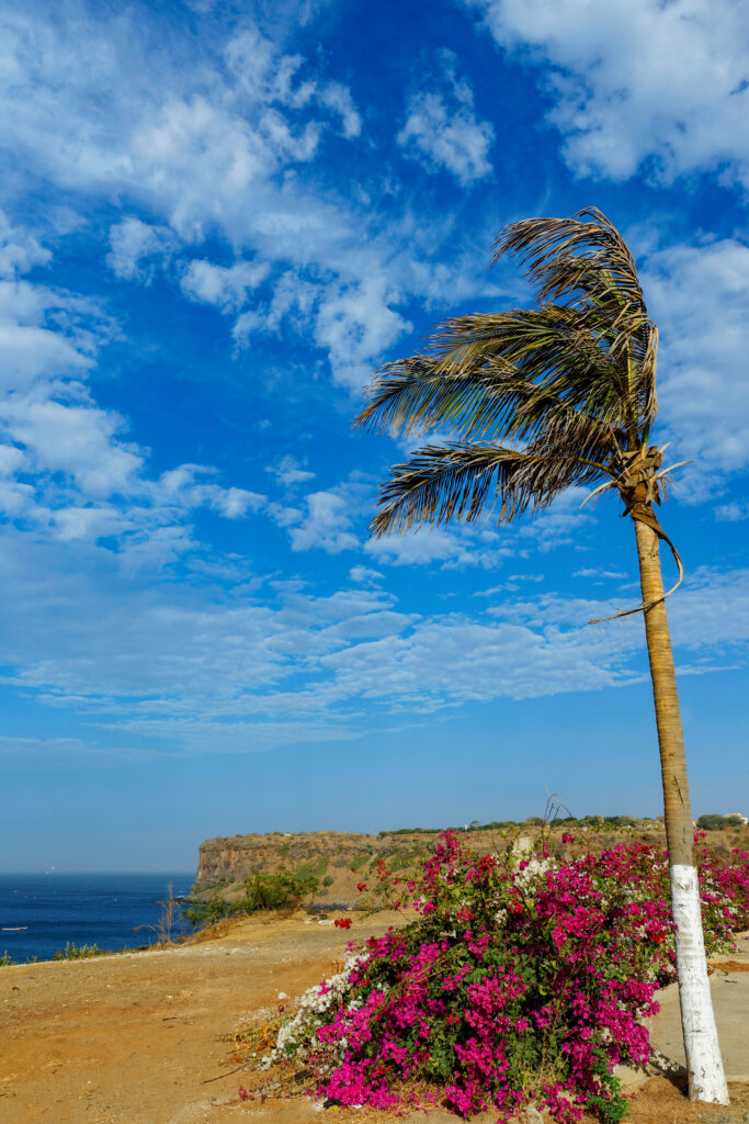 Paisaje Senegal